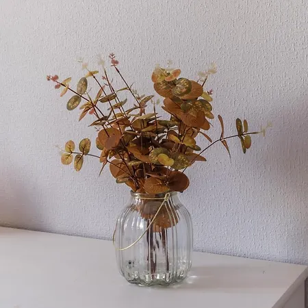 Le Cepage De Sigo Apartment